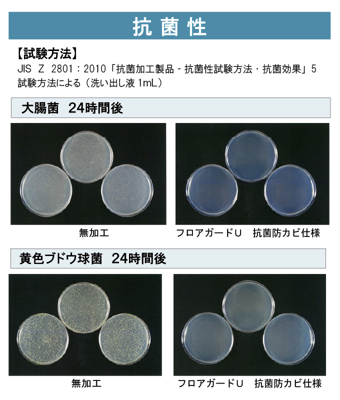 抗菌性を試験している様子